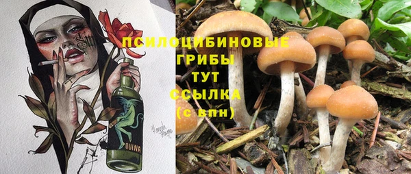 стаф Сосновка