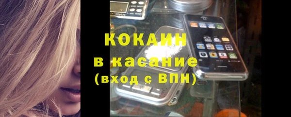 твердый Протвино