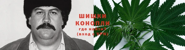 гашик Нея
