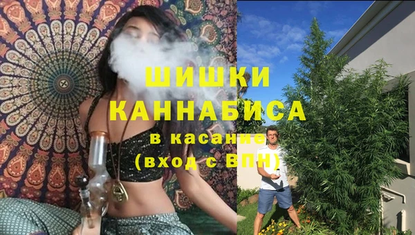 гашик Нея