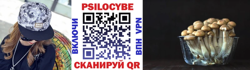 Псилоцибиновые грибы Psilocybe  купить закладку  Остров 